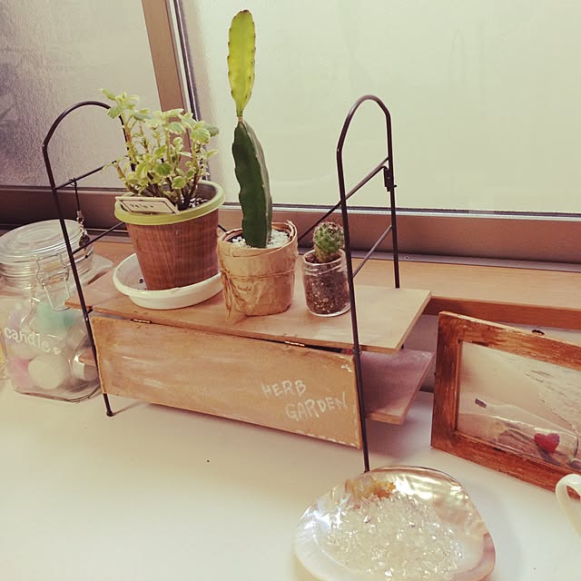 umiさんの実例写真