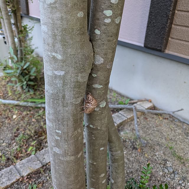 dadaさんの部屋