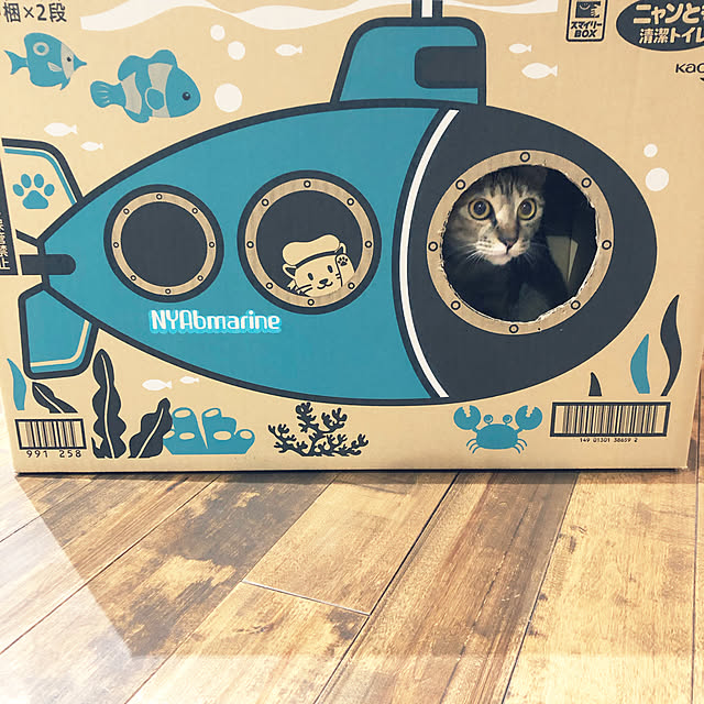 kajitta.ringoさんの実例写真