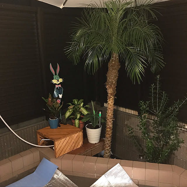 nacchintunnさんの実例写真