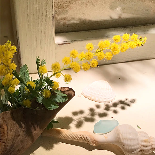 Junさんの部屋
