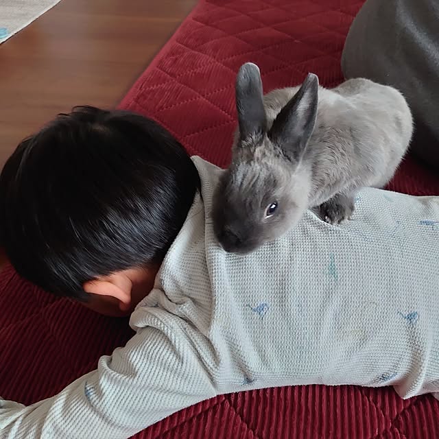 kirariさんの部屋