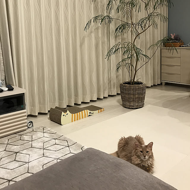 mofucatさんの実例写真