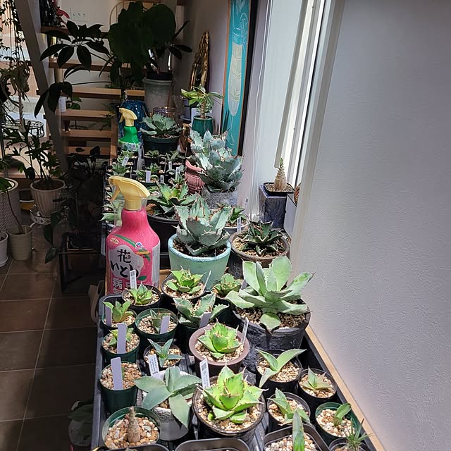 nonbiri_house_さんの部屋