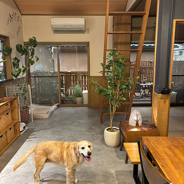 taeoさんの部屋