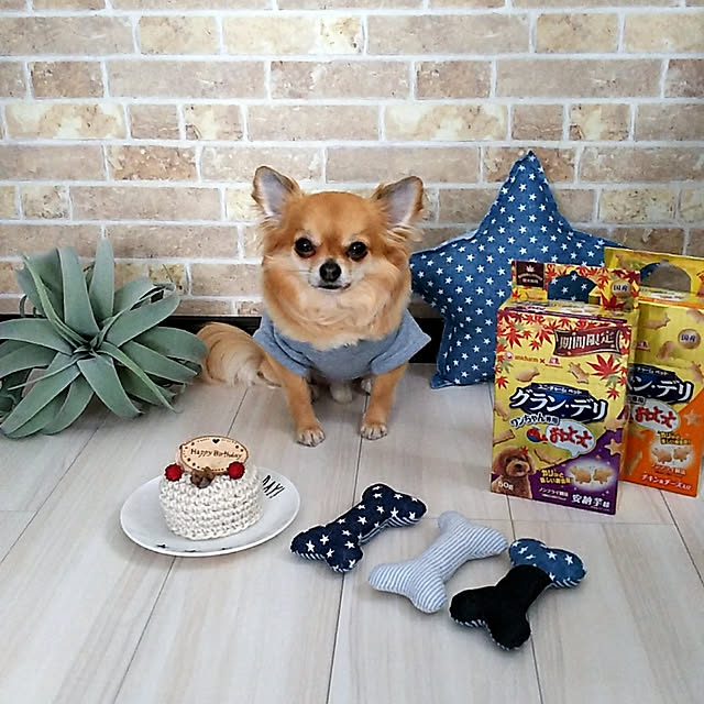kojikojiさんの実例写真