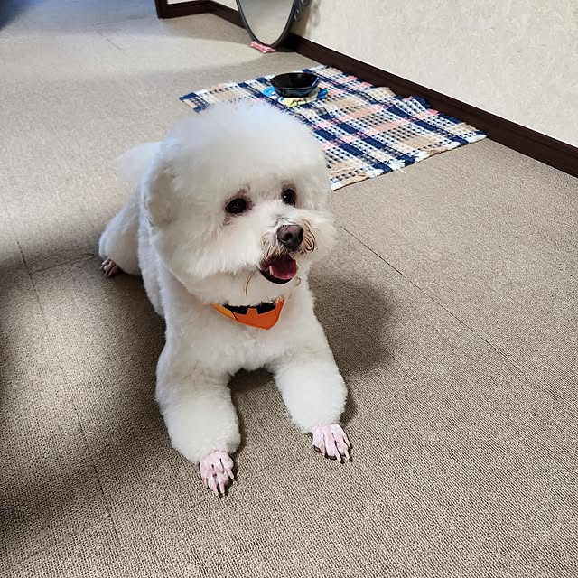 takoさんの実例写真