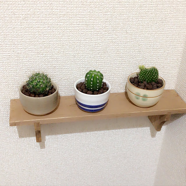 Atsushiさんの実例写真