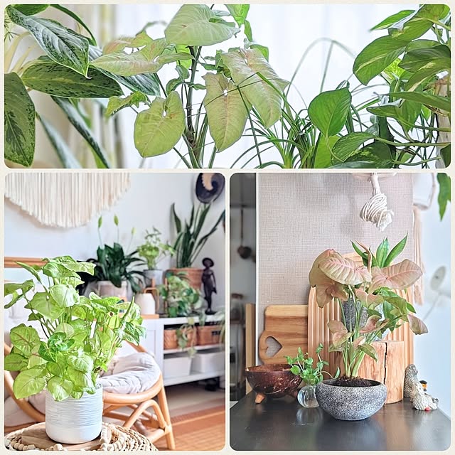 YuriYuriさんの部屋