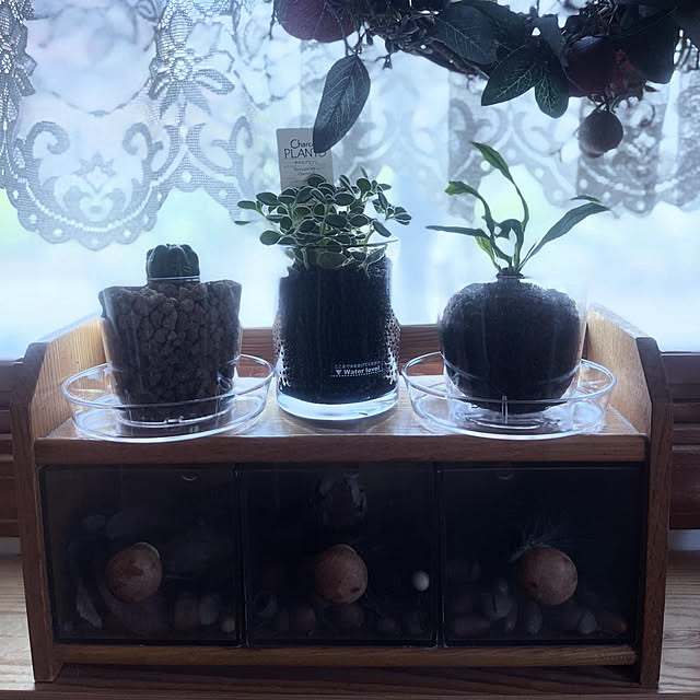 Ohigeさんの部屋