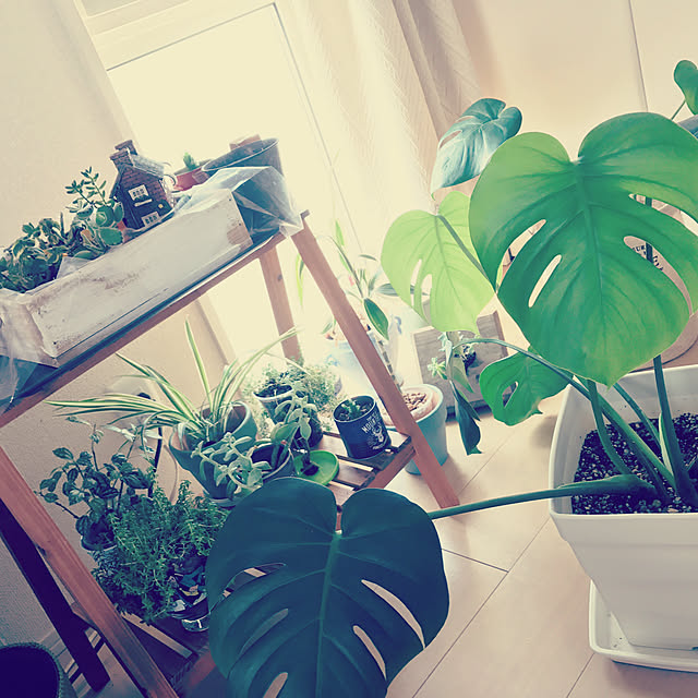 Naokiさんの実例写真