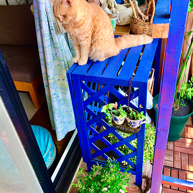 naokoさんの部屋