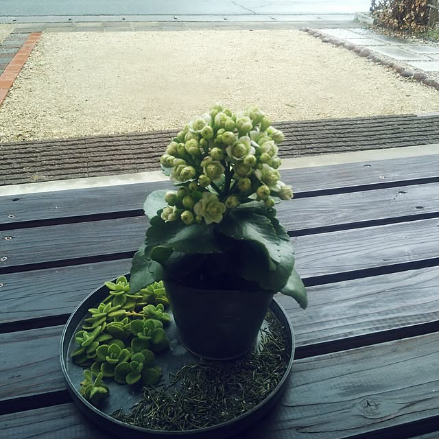 poemwalkさんの実例写真