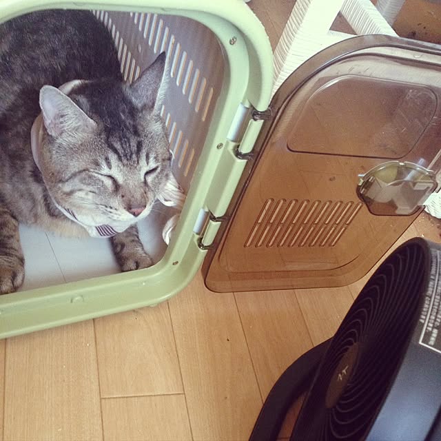 mimiishizawaさんの実例写真