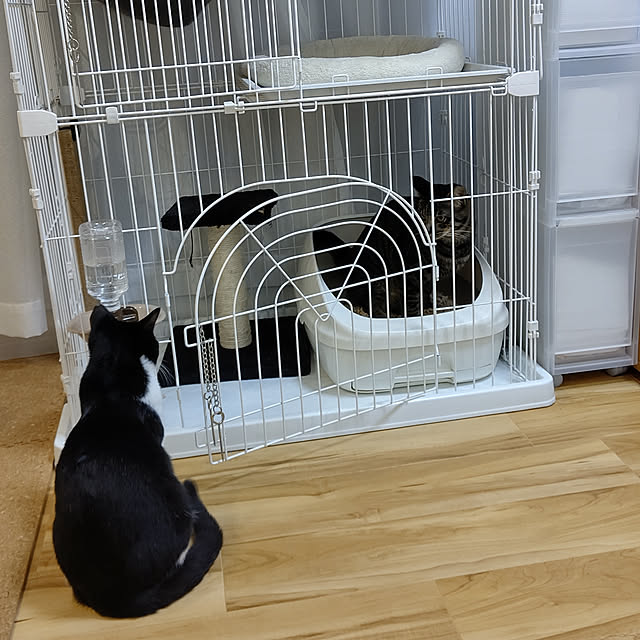 hihaさんの実例写真