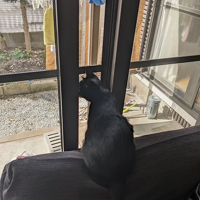 asaさんの実例写真