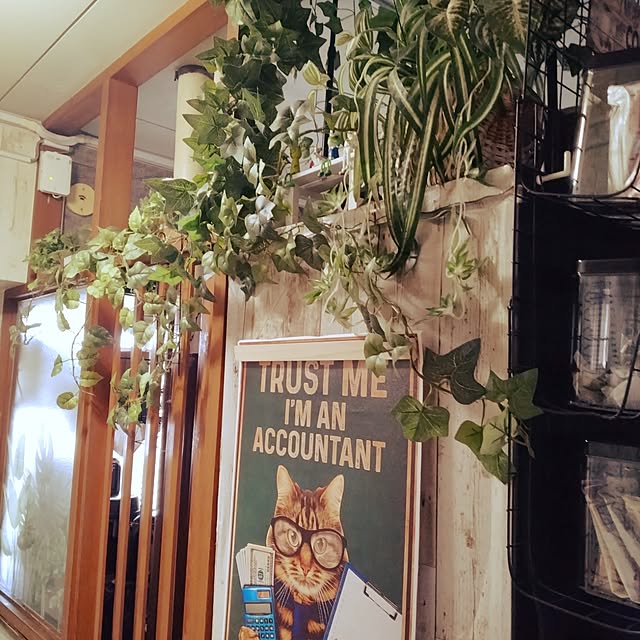 runaさんの部屋