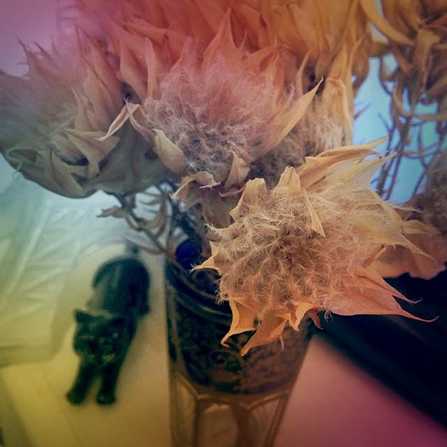 namincoさんの実例写真