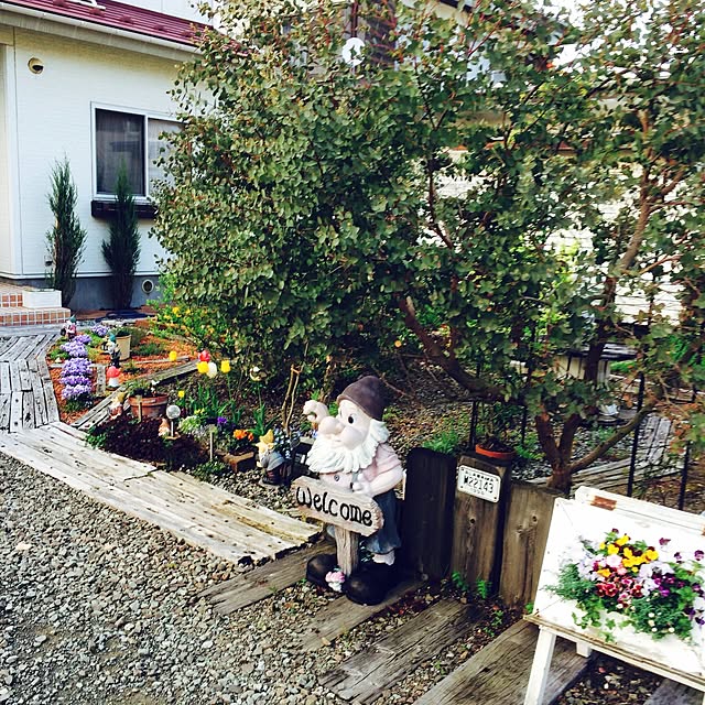 実例写真