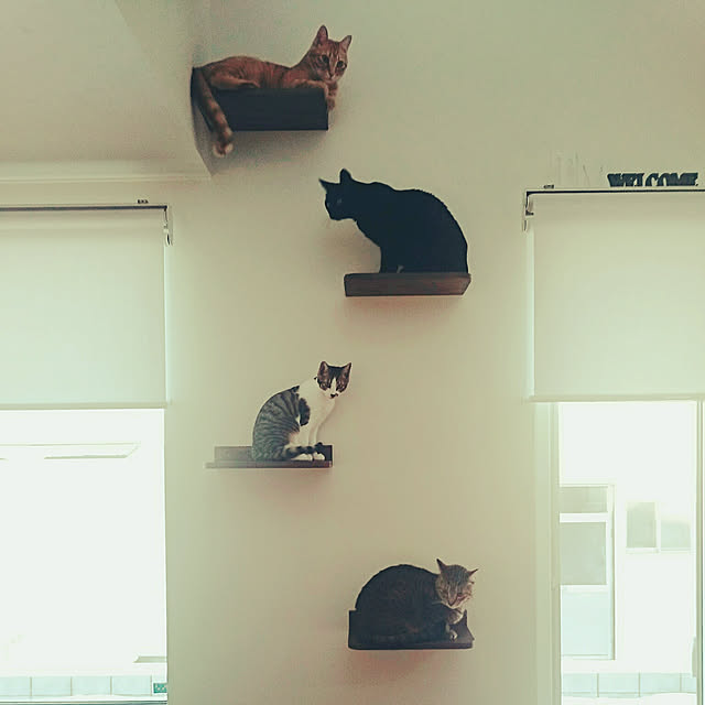 tmah.shsさんの実例写真