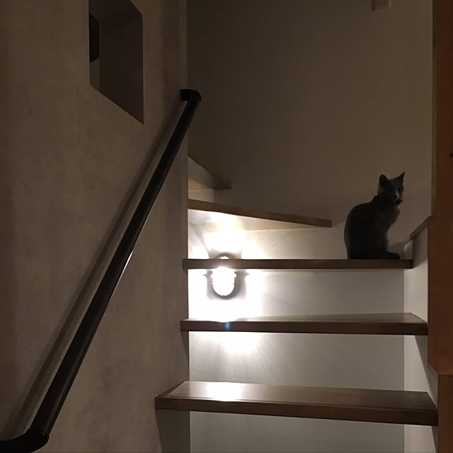 lily-oreoさんの実例写真