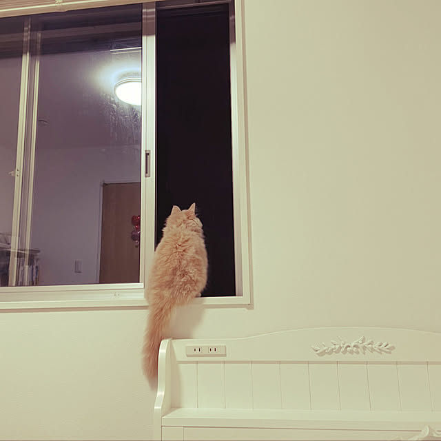 cckさんの実例写真