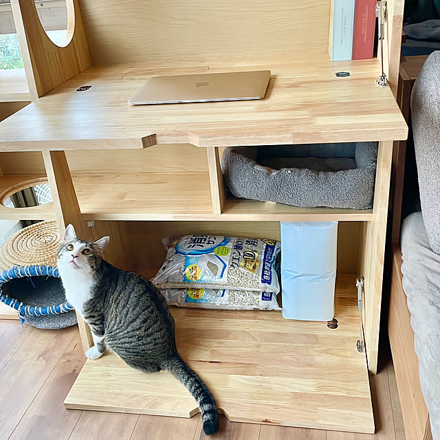 Yukinekoさんの部屋