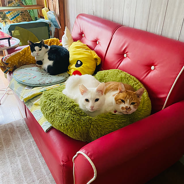SHIHOさんの部屋