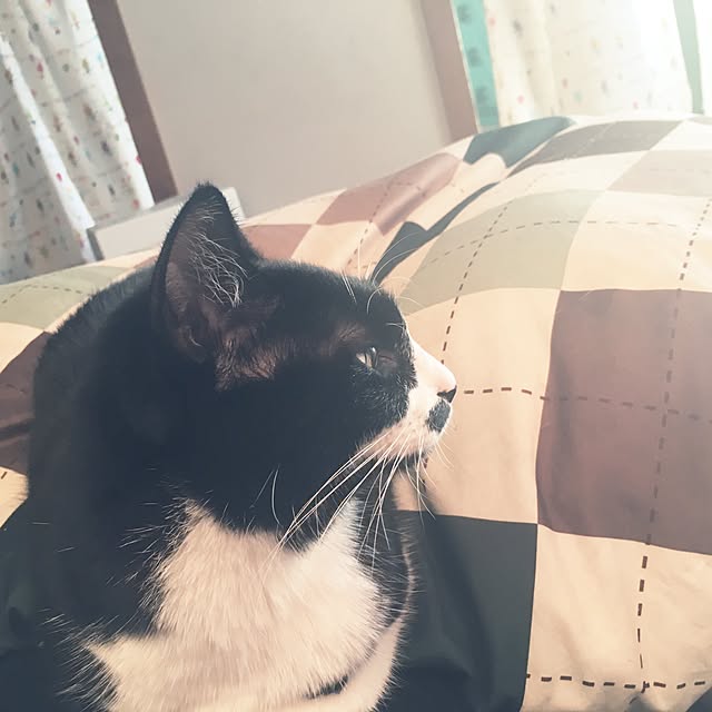 ayaさんの実例写真