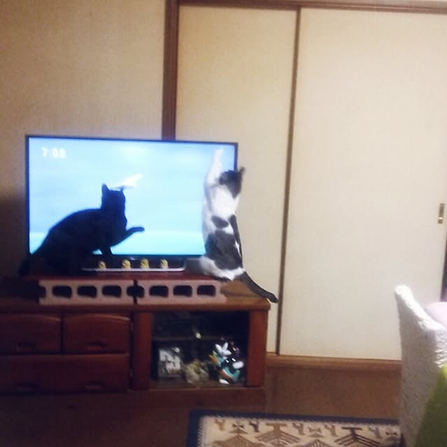 Tomopさんの実例写真