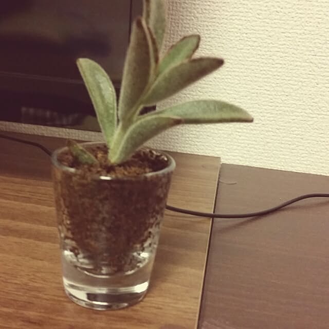 yongseok_fanさんの実例写真