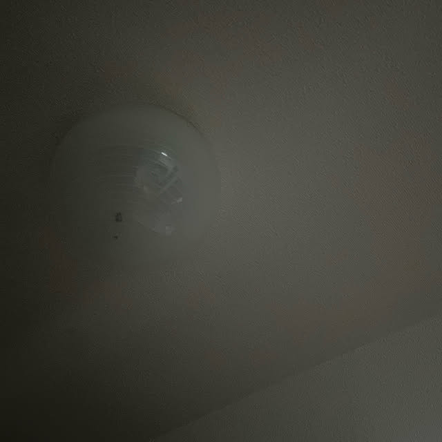 vioretさんの実例写真