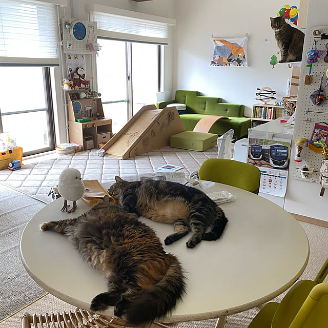 mikomaruさんの実例写真