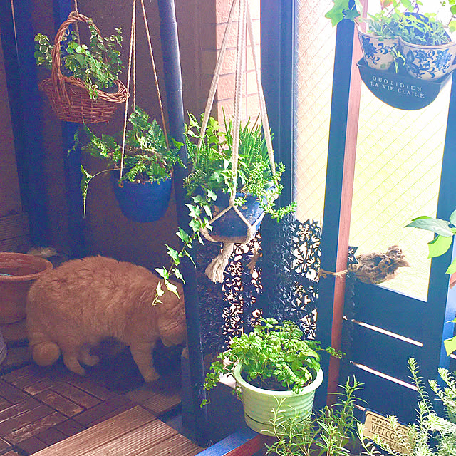 naokoさんの実例写真