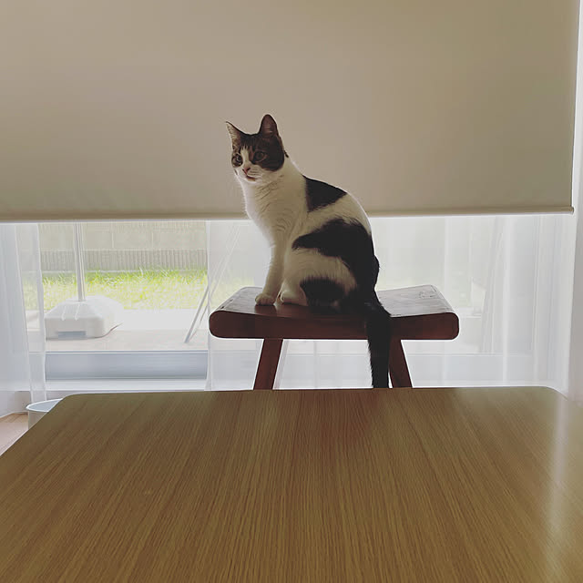 hemukoさんの実例写真