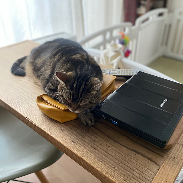 mikomaruさんの実例写真