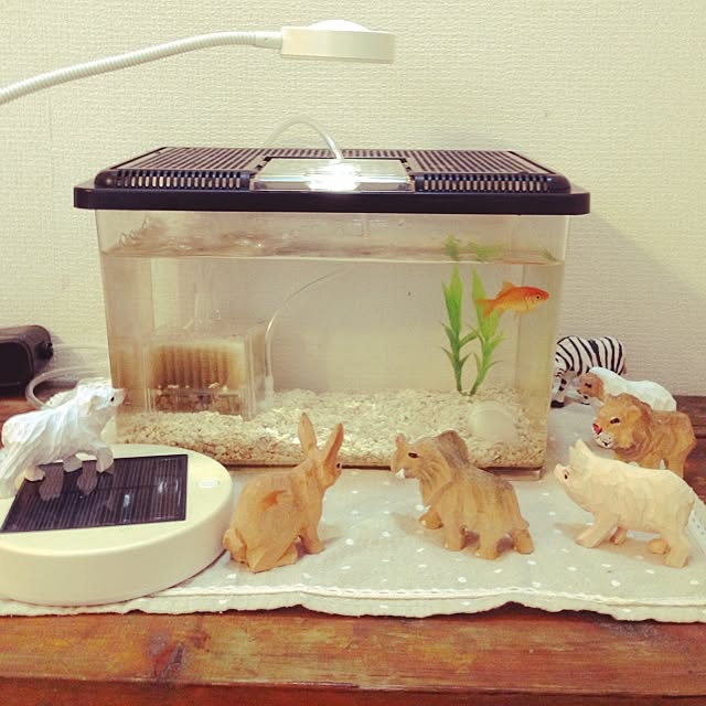 hachiさんの実例写真