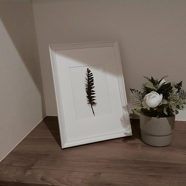 yunnoieさんの実例写真