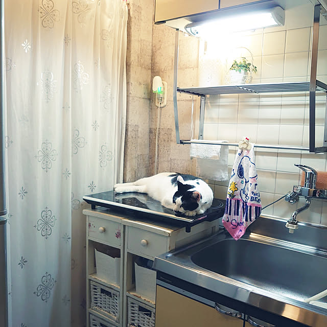 asuminさんの実例写真