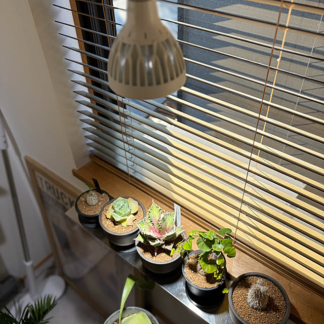 shirokumaさんの部屋