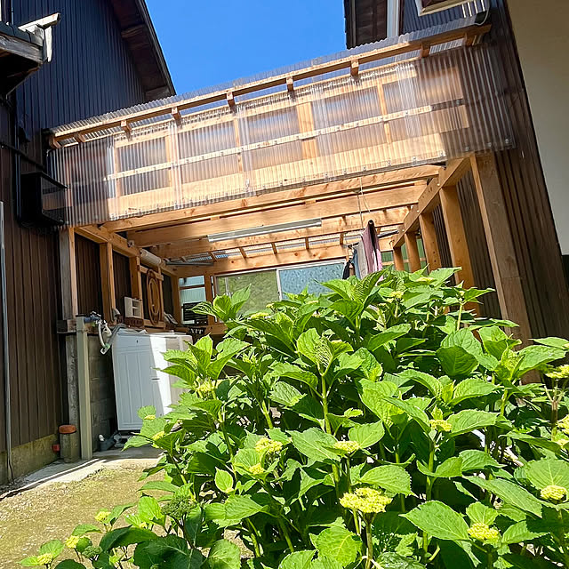 cotaさんの部屋