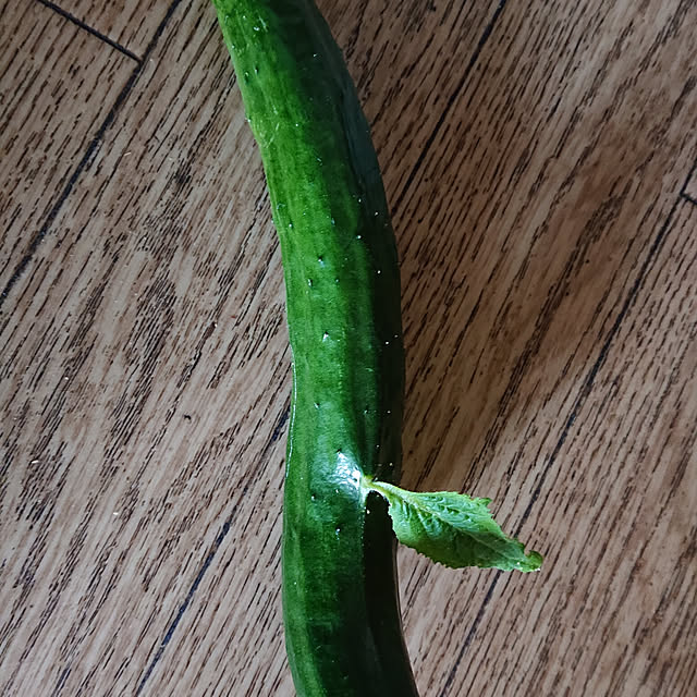 r7さんの実例写真