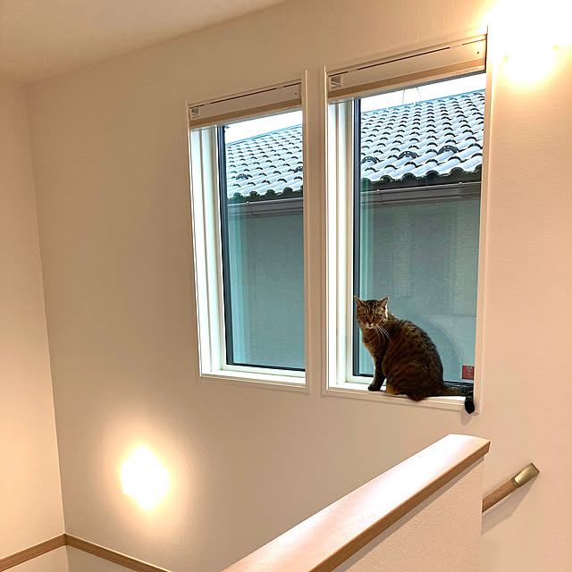 kirinsanさんの実例写真