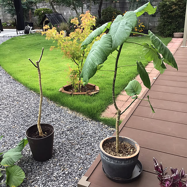 houenさんの部屋