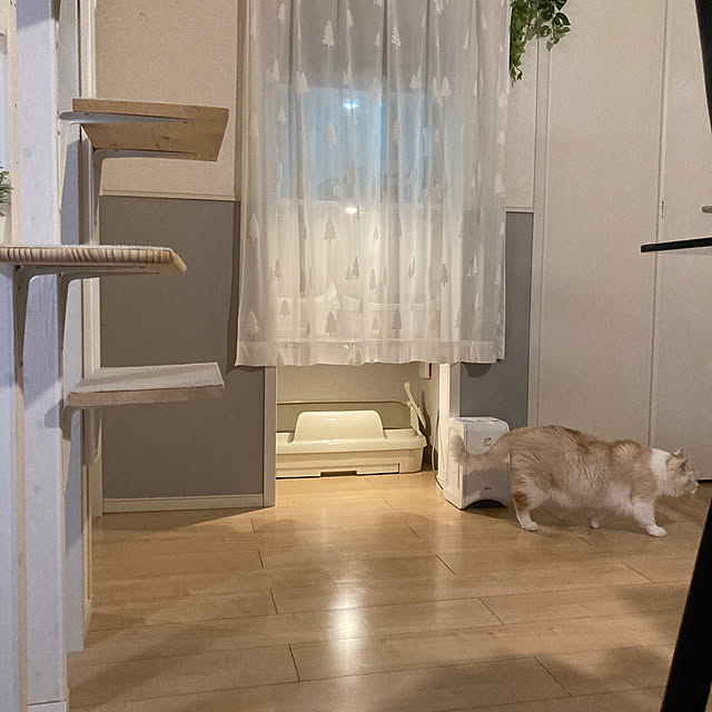 H.Tさんの実例写真