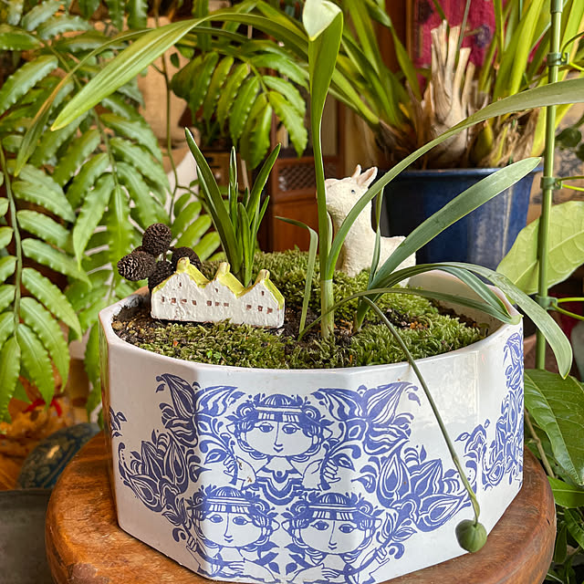 shin0719さんの実例写真