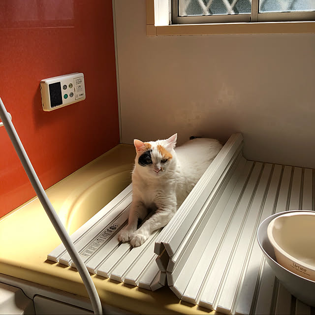 junbuさんの実例写真