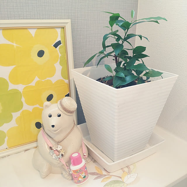 tan5さんの実例写真
