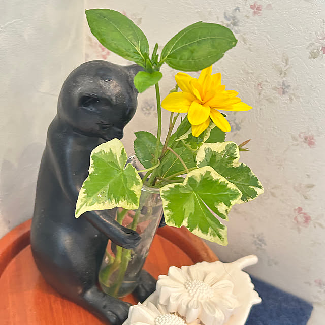 sukkorobiさんの実例写真