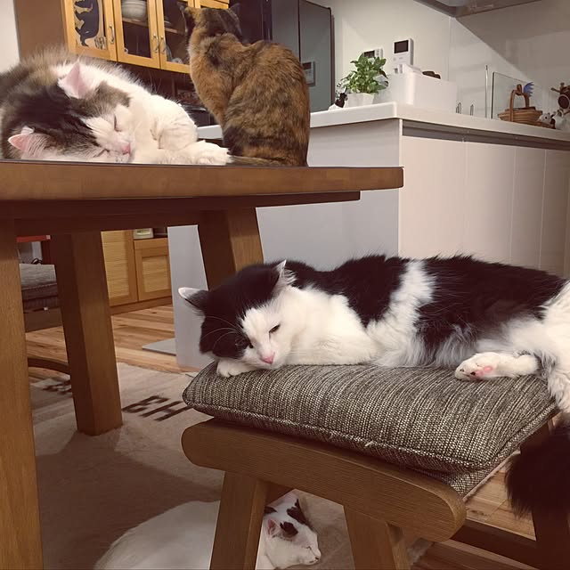 paipan720さんの実例写真